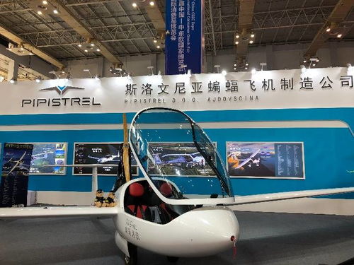 高技術(shù)與特色產(chǎn)品亮相中東歐博覽會(huì)，推動(dòng)國(guó)際技術(shù)開發(fā)合作